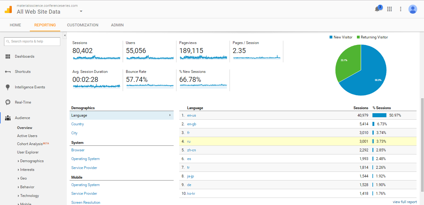Visitor Analysis Report